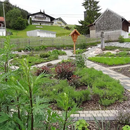 - Katharina ユングホルツ