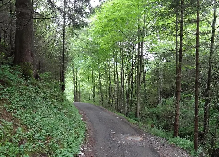 - Katharina ユングホルツ