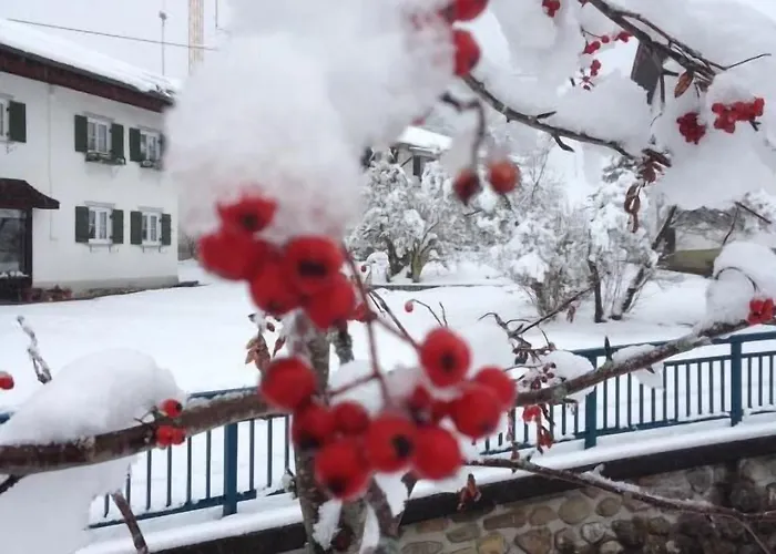 ゲストハウス - Katharina