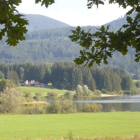 - Katharina Jungholz