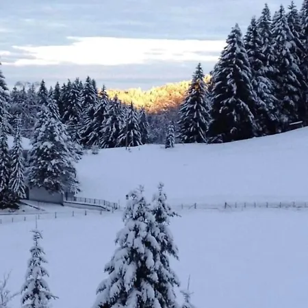 - Katharina Konukevi 2*