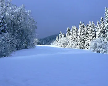 - Katharina Гостевой дом 2*