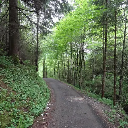 - Katharina Jungholz