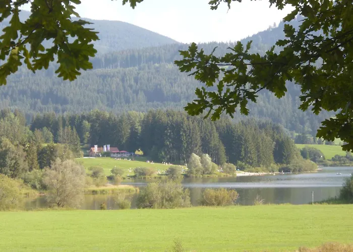 - Katharina Jungholz