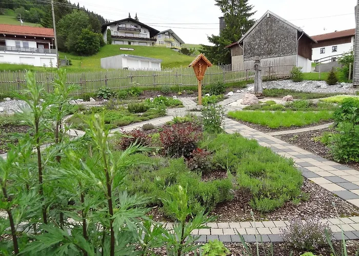 - Katharina Jungholz