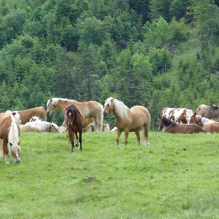 בית הארחה - Katharina יונגהולץ