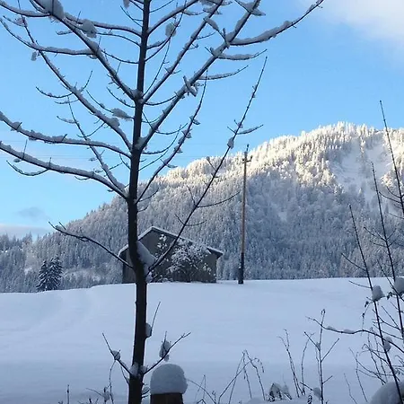 - Katharina ユングホルツ