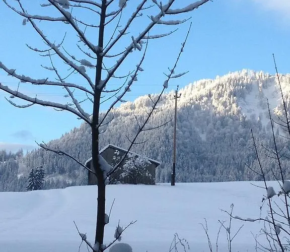 - Katharina Jungholz